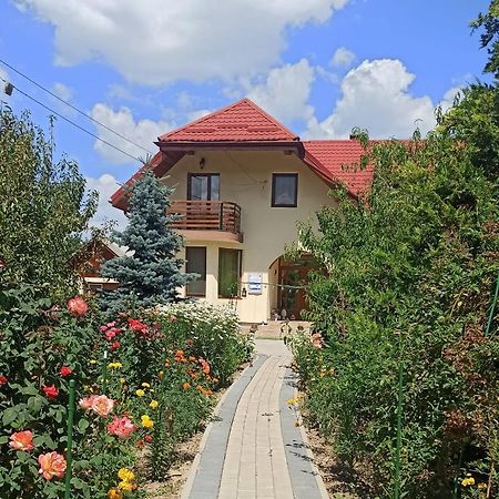 Agropensiunea Florina-Maria Branistea  Exterior foto