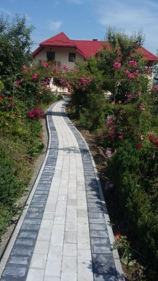 Agropensiunea Florina-Maria Branistea  Exterior foto