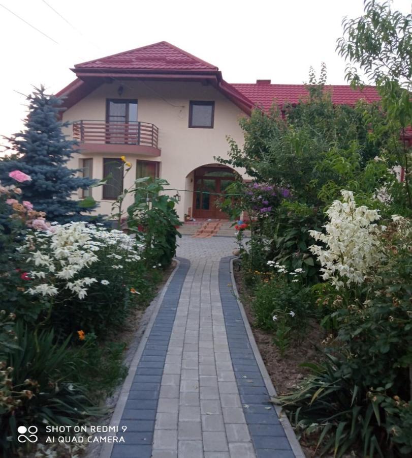 Agropensiunea Florina-Maria Branistea  Exterior foto