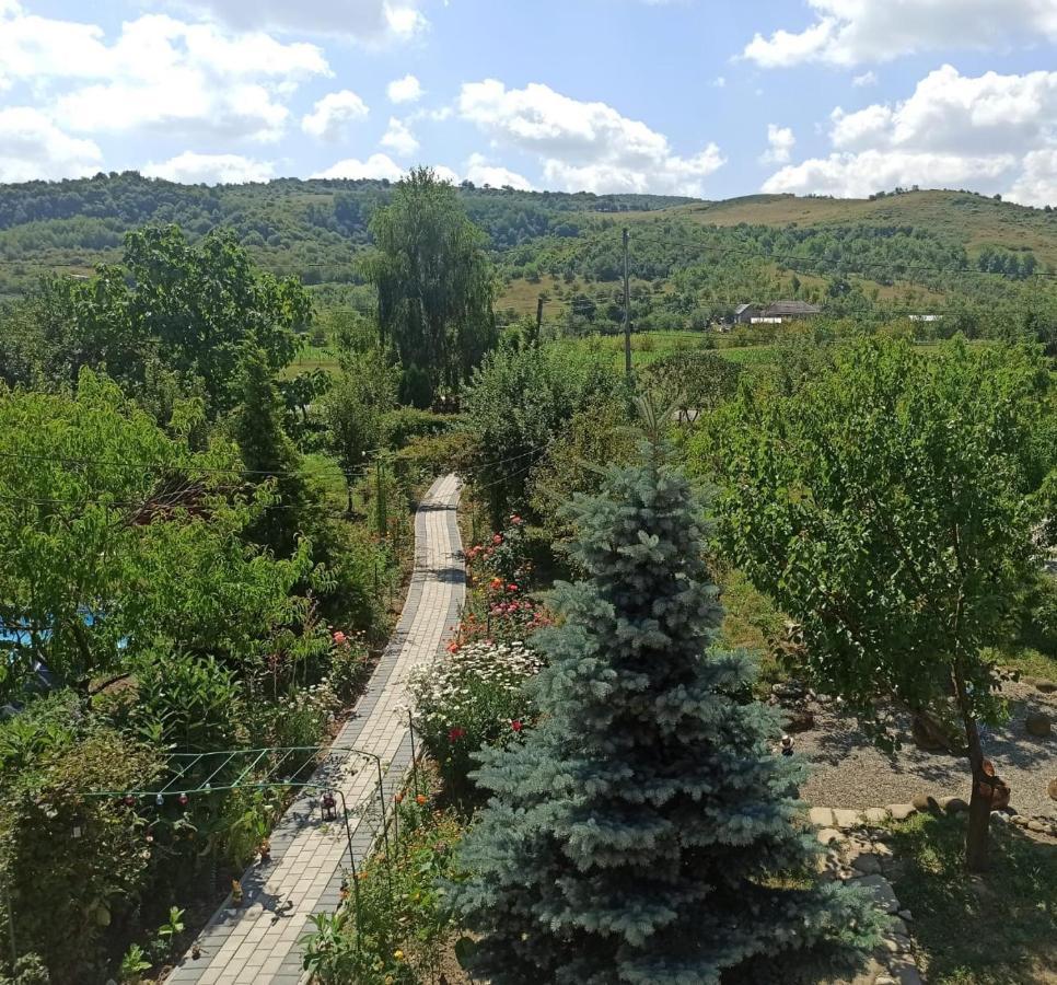 Agropensiunea Florina-Maria Branistea  Exterior foto